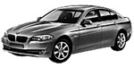 BMW F10 C20D9 Fault Code
