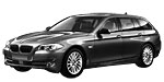 BMW F11 C20D9 Fault Code